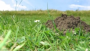 Make a mountain out of a molehill